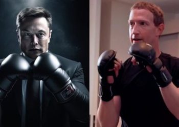 elon musk vs mark zuckerberg