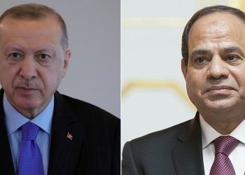 أردوغان يوجه دعوة إلى السيسي لزيارة تركيا