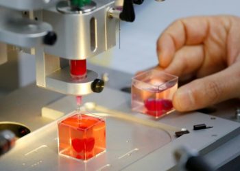 Stanford plans to put a 3D-printed human heart