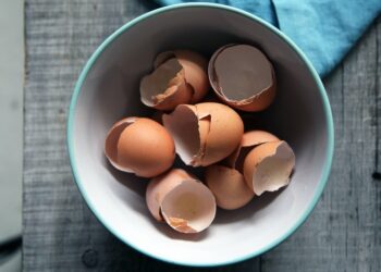 egg-shells