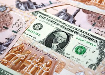 سعر الدولار في مصر اليوم السبت 6-1-2024
