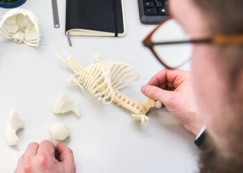New 3D printing technique creates life-like human parts